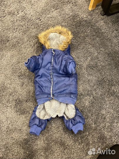 Теплый костюм комбинезон для собак с капюшоном