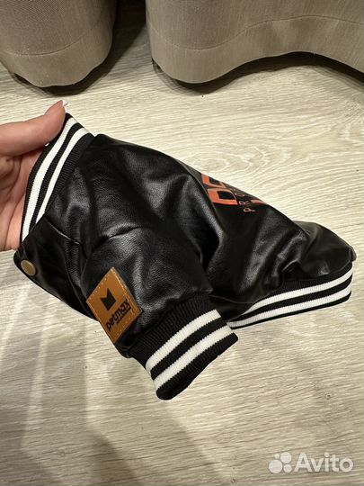 Куртка для собаки осень/весна размер s