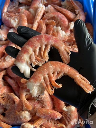 Креветки Лангустины бг