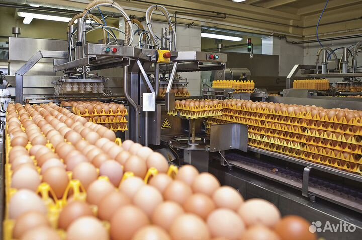 Выкуп скупка промышленного оборудования