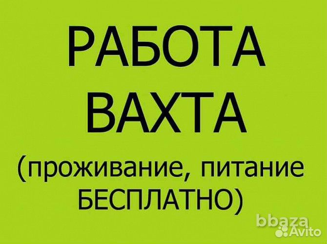 Дорожный рабочий вахта