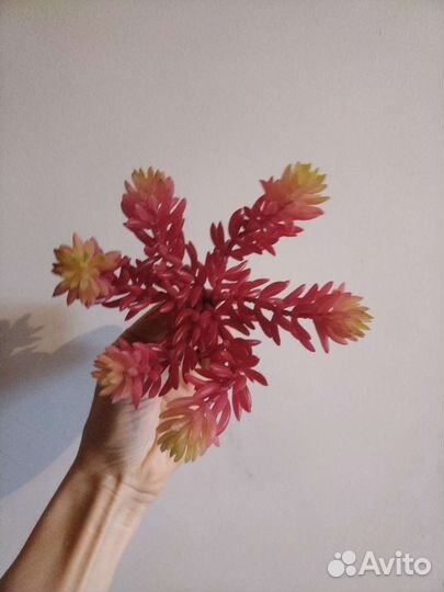 Цветы Водоросли искусственные