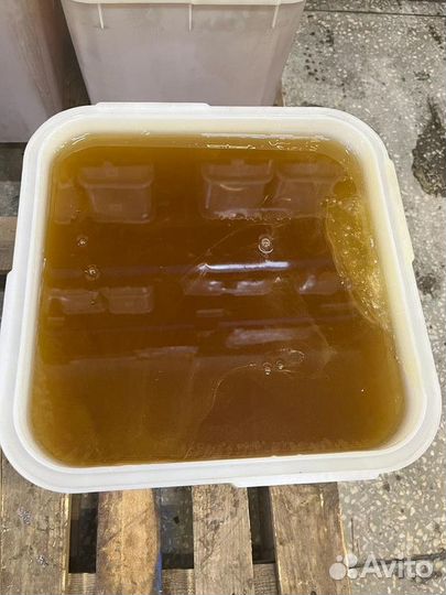 Свежий мёд эспарцет Только опт