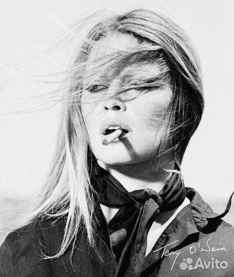 Terry O’Neill. The Opus