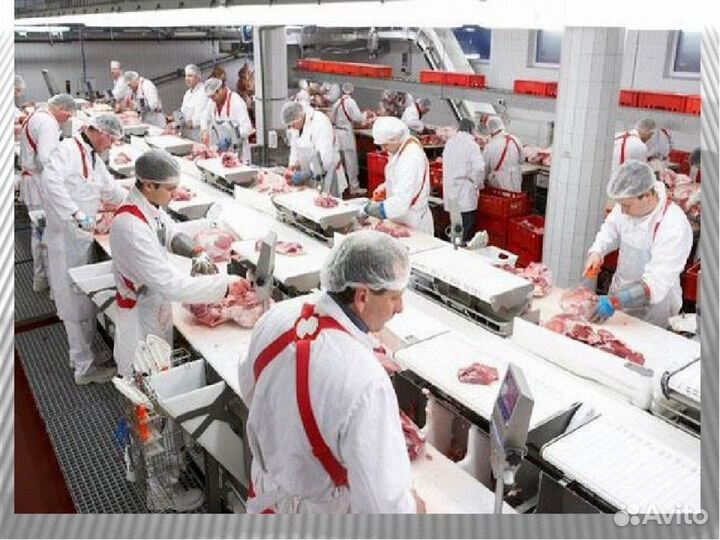 Оператор линии Вахта Воронеж мясокомбинат