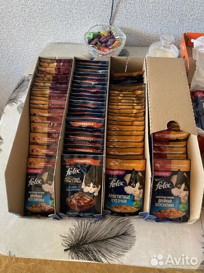 Влажный корм для кошек