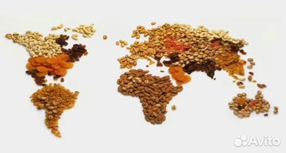 Орехи оптом из Фудсити от поставщика