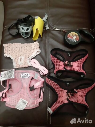 Шлейки, рулетка, трусы, намордники