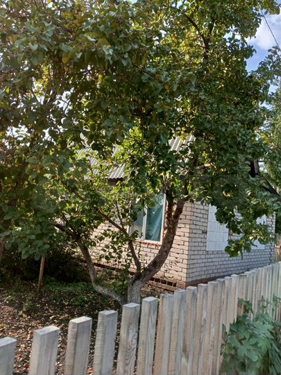 Дача 36 м² на участке 10 сот.