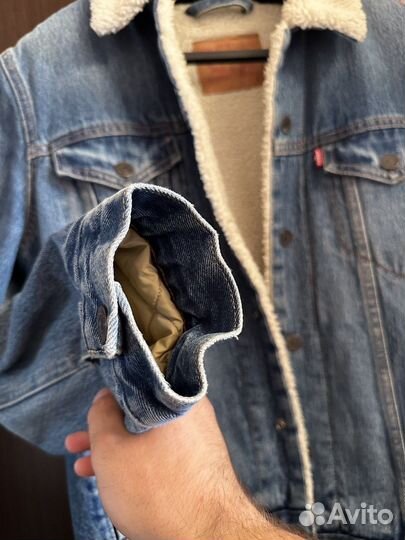 Шерпа levis