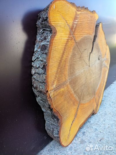 Спилы для столиков 50 см Тверь