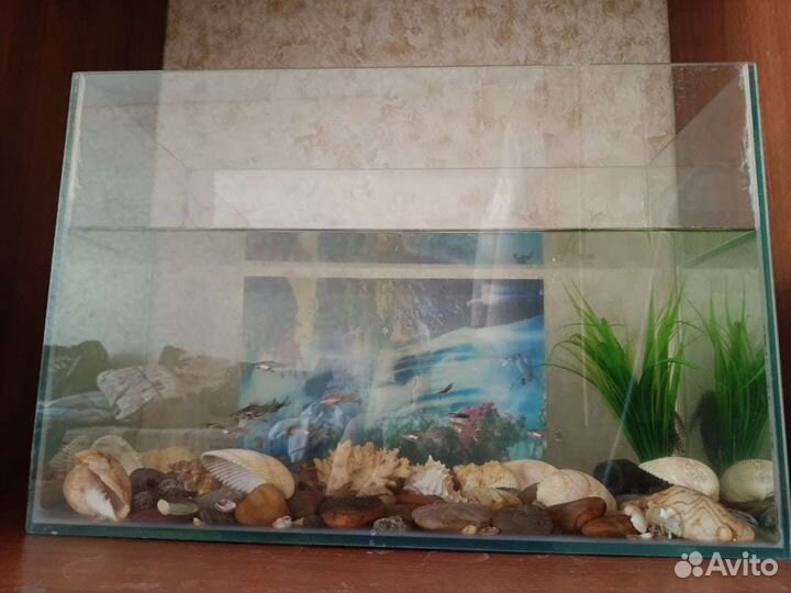 Аквариум