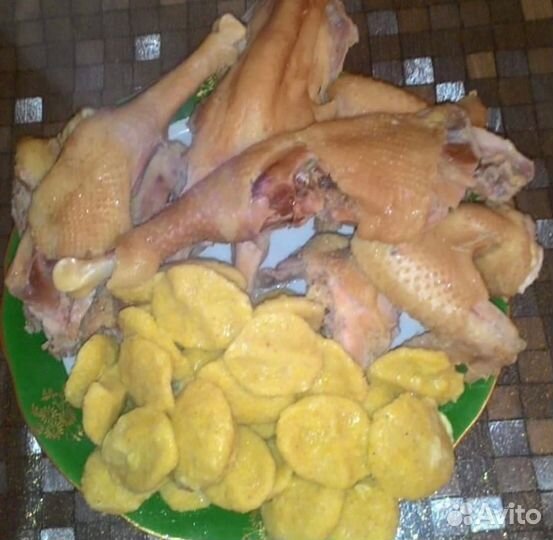 Куры домашние