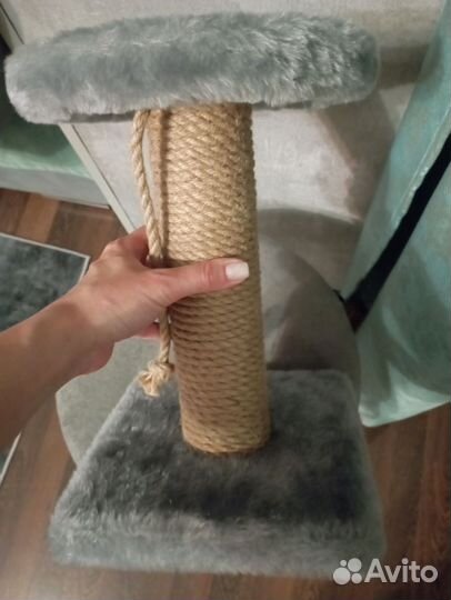 Когтеточка для котят