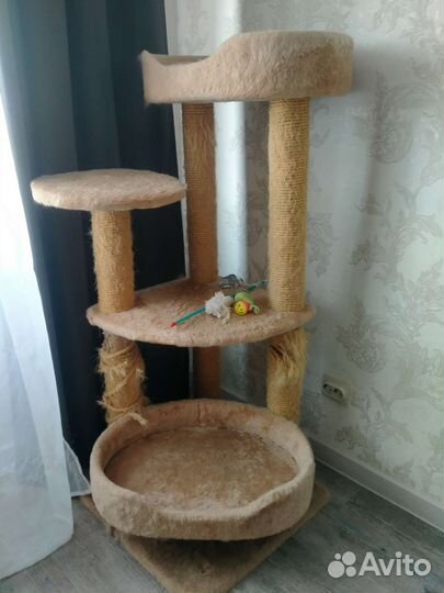 Когтеточка и лежанка