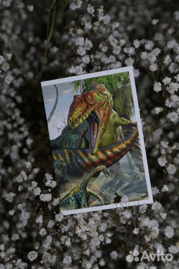 Смотри, динозавры, наклейки