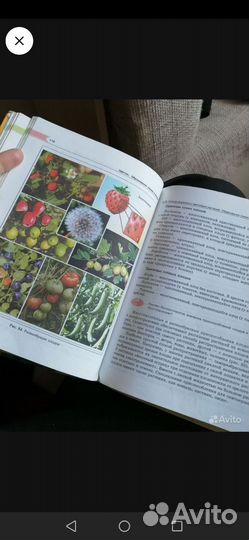 Трайтак - Биология 6 класс