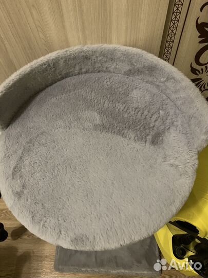 Когтеточка