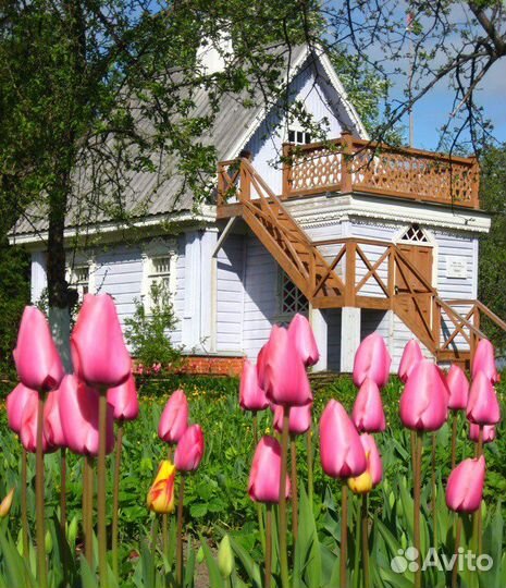 Экскурсия в гости к Чехову в усадьбу на выходные