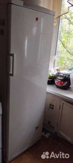 Холодильник indesit