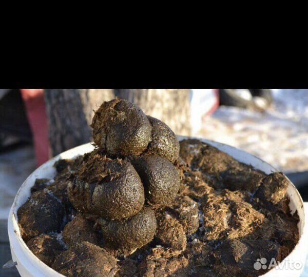 Конский перегной с бесплатной доставкой