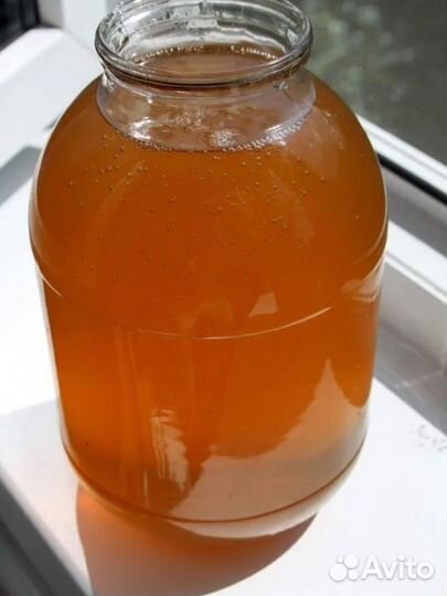 Мед башкирский