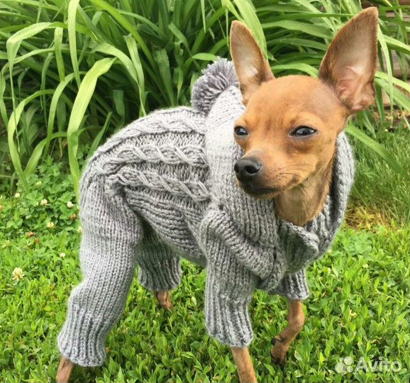 Вязаная одежда для собак