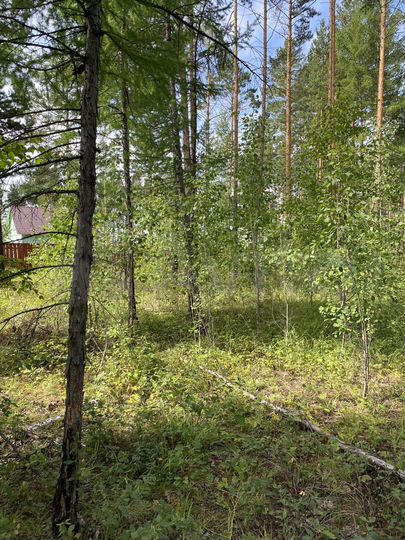 Участок 10 сот. (ИЖС)