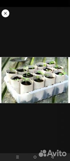 Втулки от туалетной бумаги 50 шт