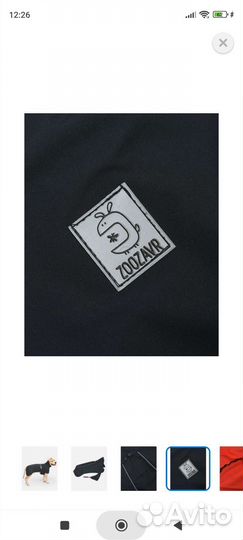 Одежда для большой собаки