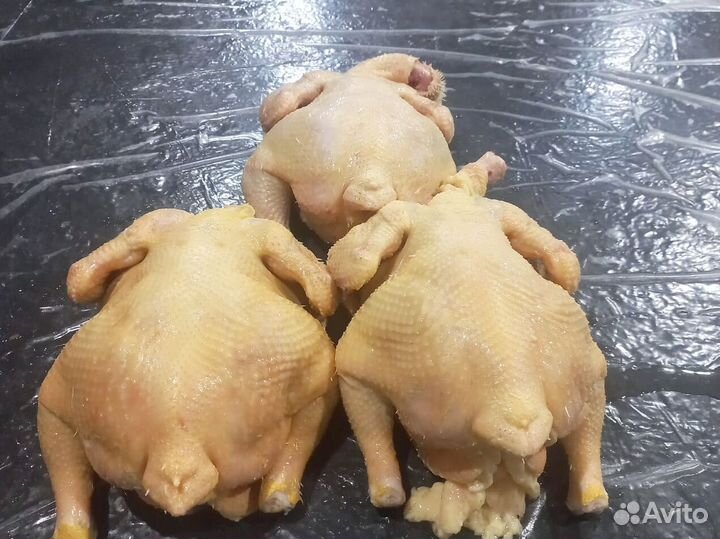 Куры халяльКуры халяль свежие