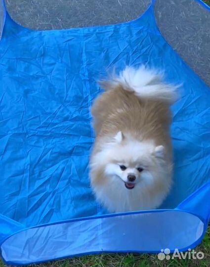 Новый вольер манеж для мелких животных