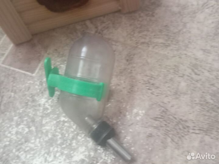 Хомяк с клеткой