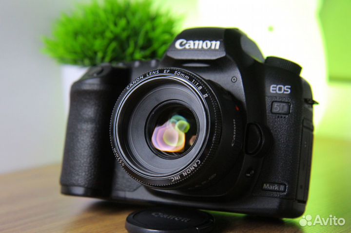 Canon 5D mark ii + объектив