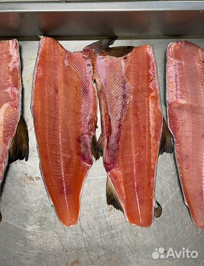 Кета свежемороженая без головы