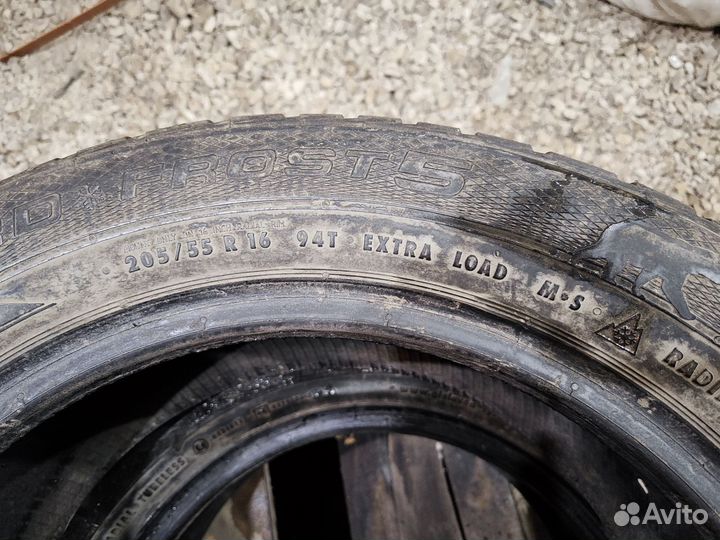 Gislaved Nord Frost 5 205/55 R16