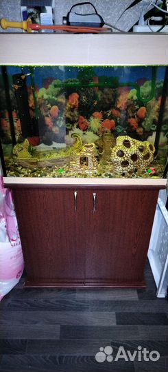 Аквариум