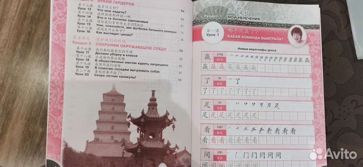 Китайский язык прописи 7 класс