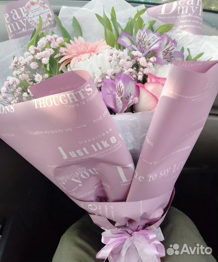 Чихуахуа мини