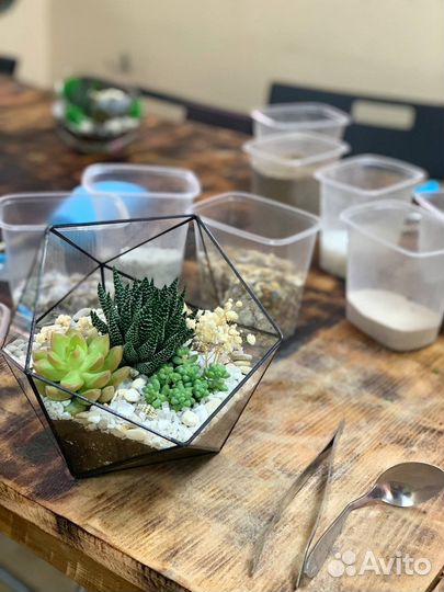 Мастер-класс по созданию флорариума с суккулентами