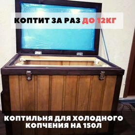 Коптильня хол копчения с эл статикой на 150л