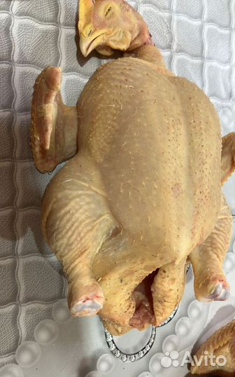 Куры бройлеры живым весом