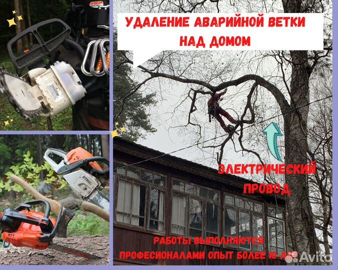 Спилить дерево. Обрезка плодовых. Стрижка туй. Сад