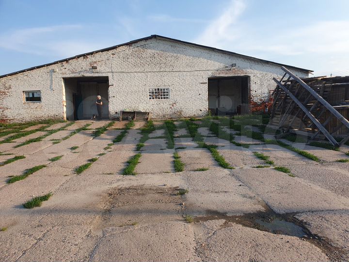 Здание, 1800 м²