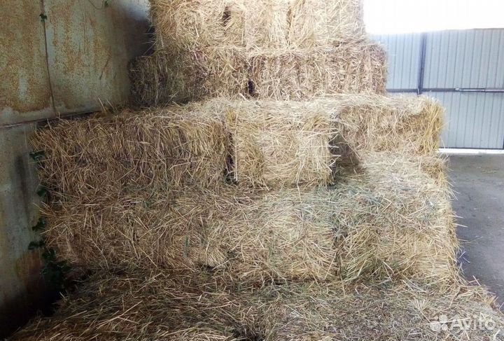 Сено в тюках и мешках
