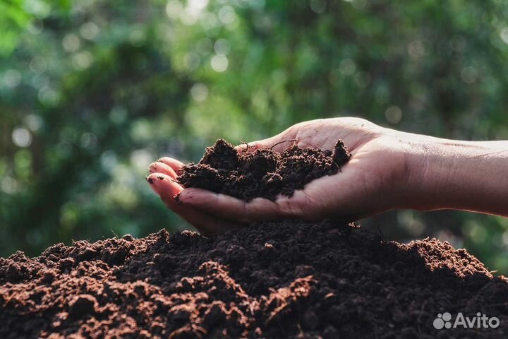 Торфогрунт