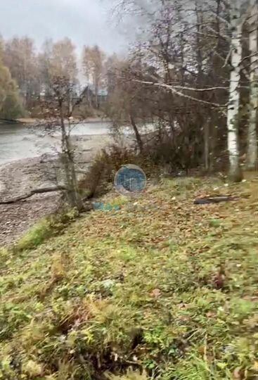 Участок 50 сот. (ИЖС)