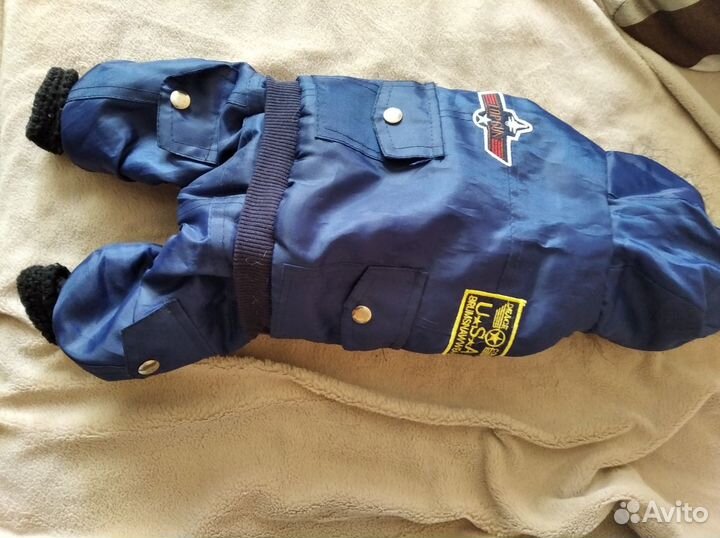 Комбинезон для собачки (тоя, чихаухуа)