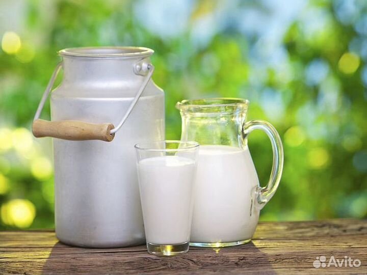 Домашняя молочная продукция оптом