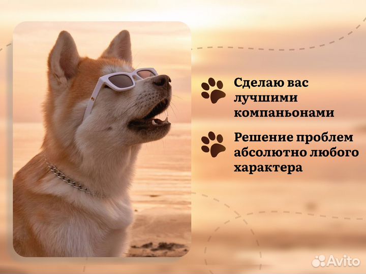 Курсы дрессировки собак / Кинолог